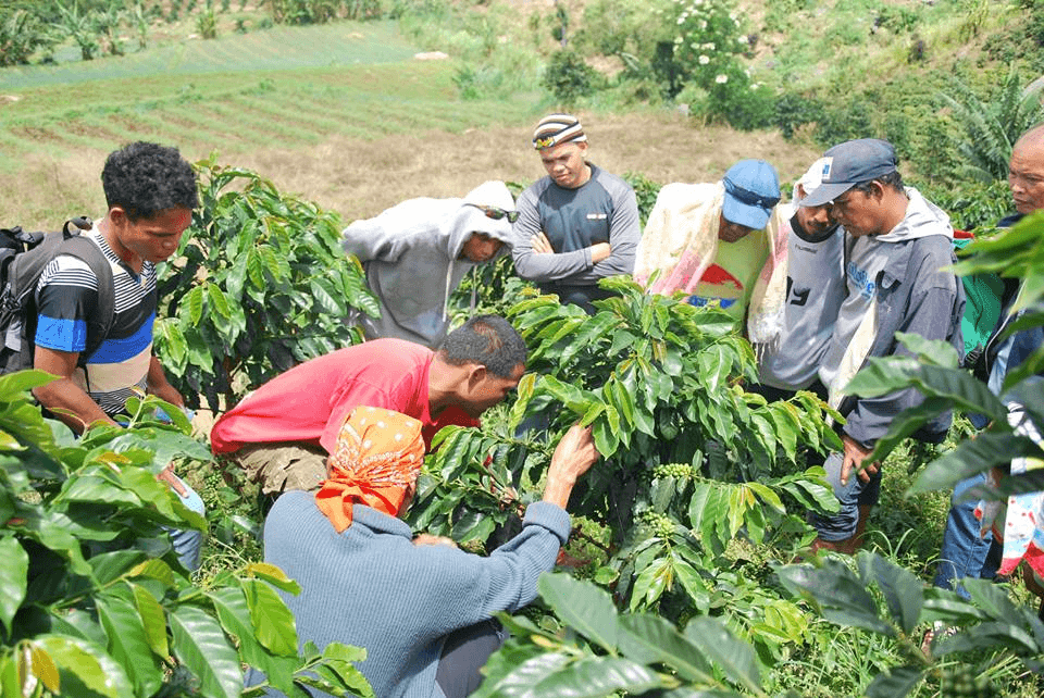 Local Indonesian Coffee Farmer